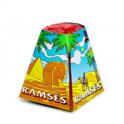 RAMSES