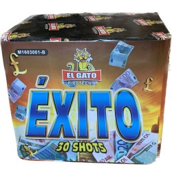 ÉXITO